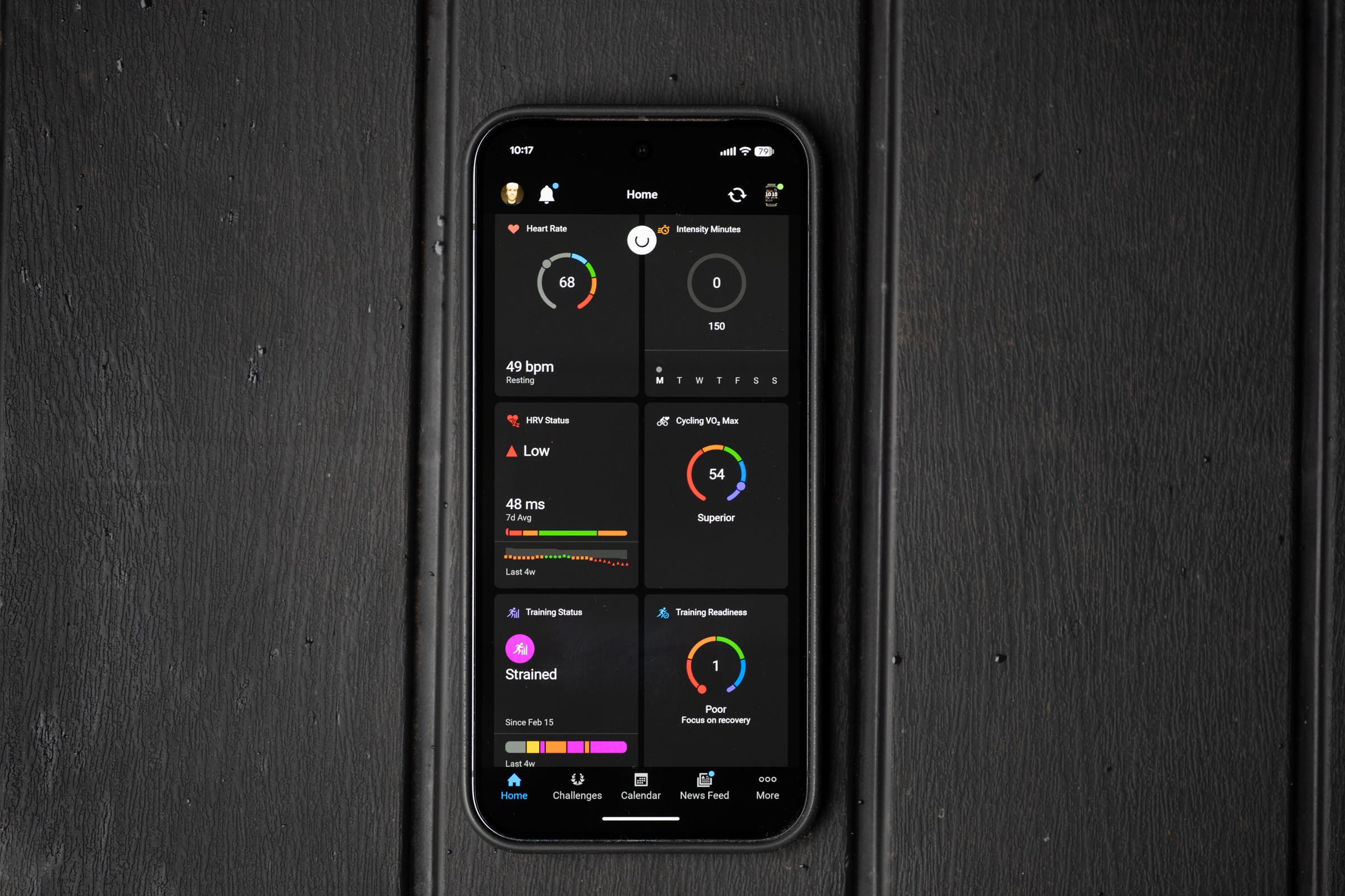 Google Pixel 10 Pro XL with Garmin Connect
