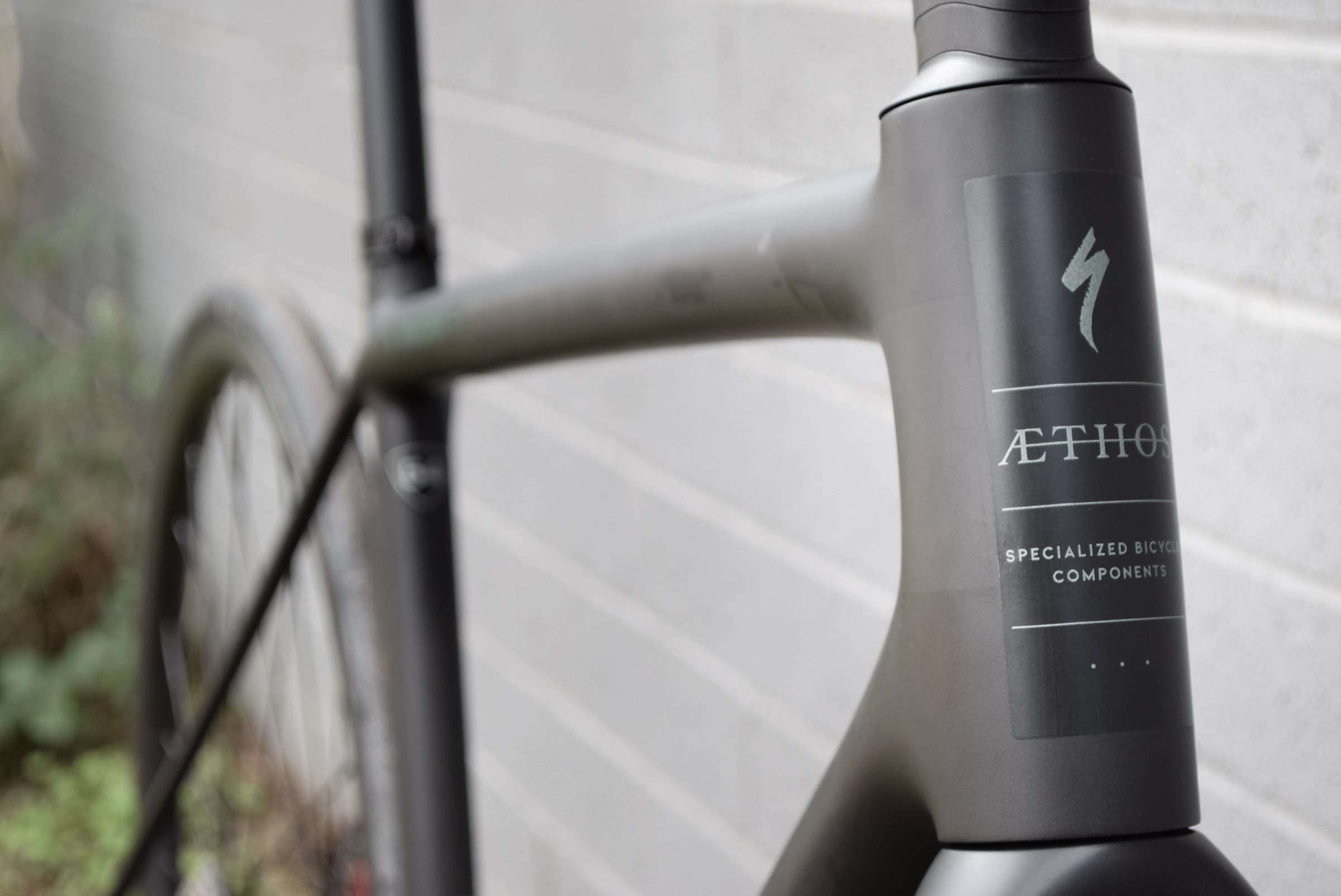 Fair Wheel Bikes Flat Bar Specialized Aethos