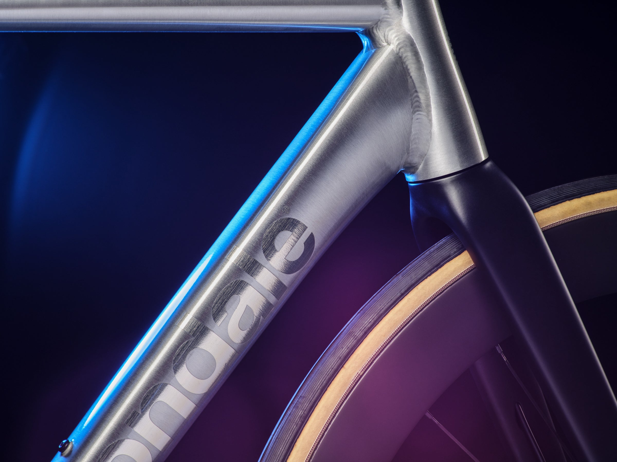 New Cannondale CAAD14 Unveiled: Specs, Builds, and Price
