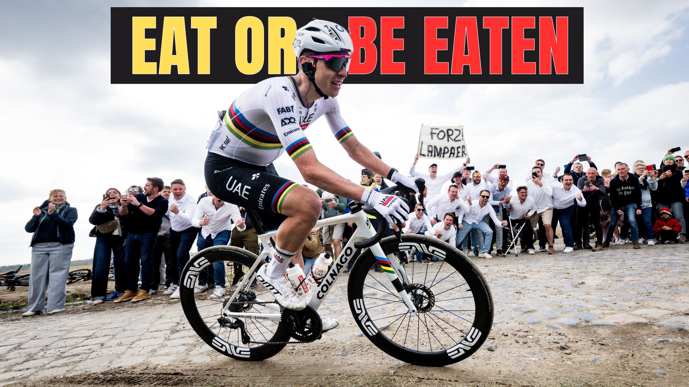 How ‘The Pogačar Effect’ Rewrote the Rules of High-Carb Fueling for the Cobbled Classics