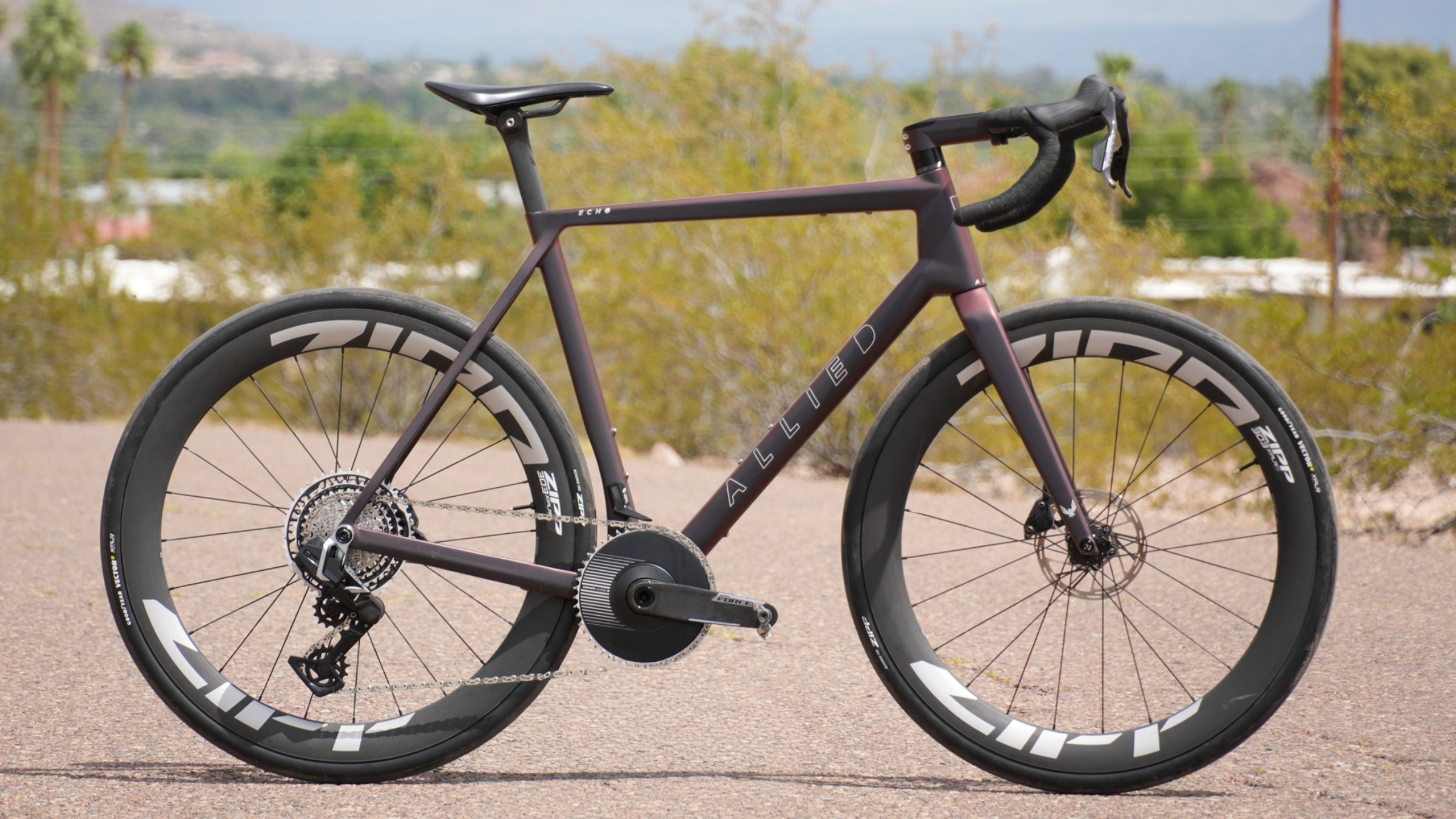 Allied Echo Cover Final