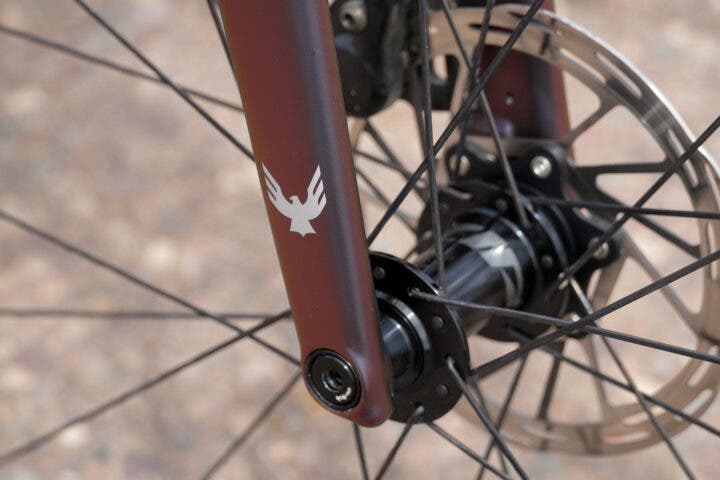 Allied Echo Flourish