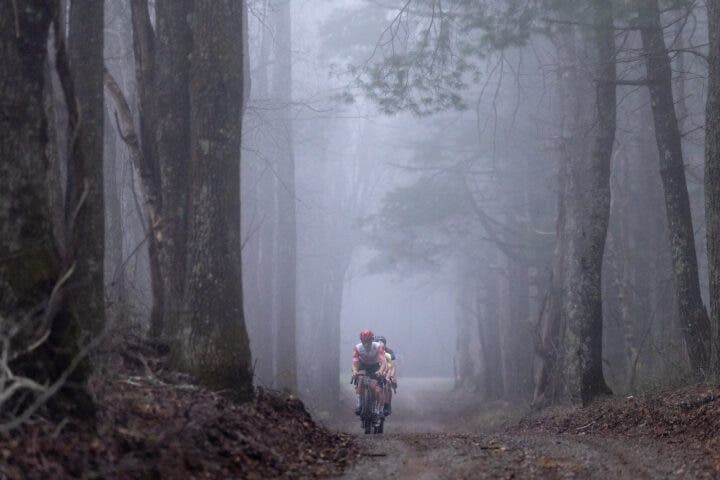 Appalachian Journey deep in the Virginia woods