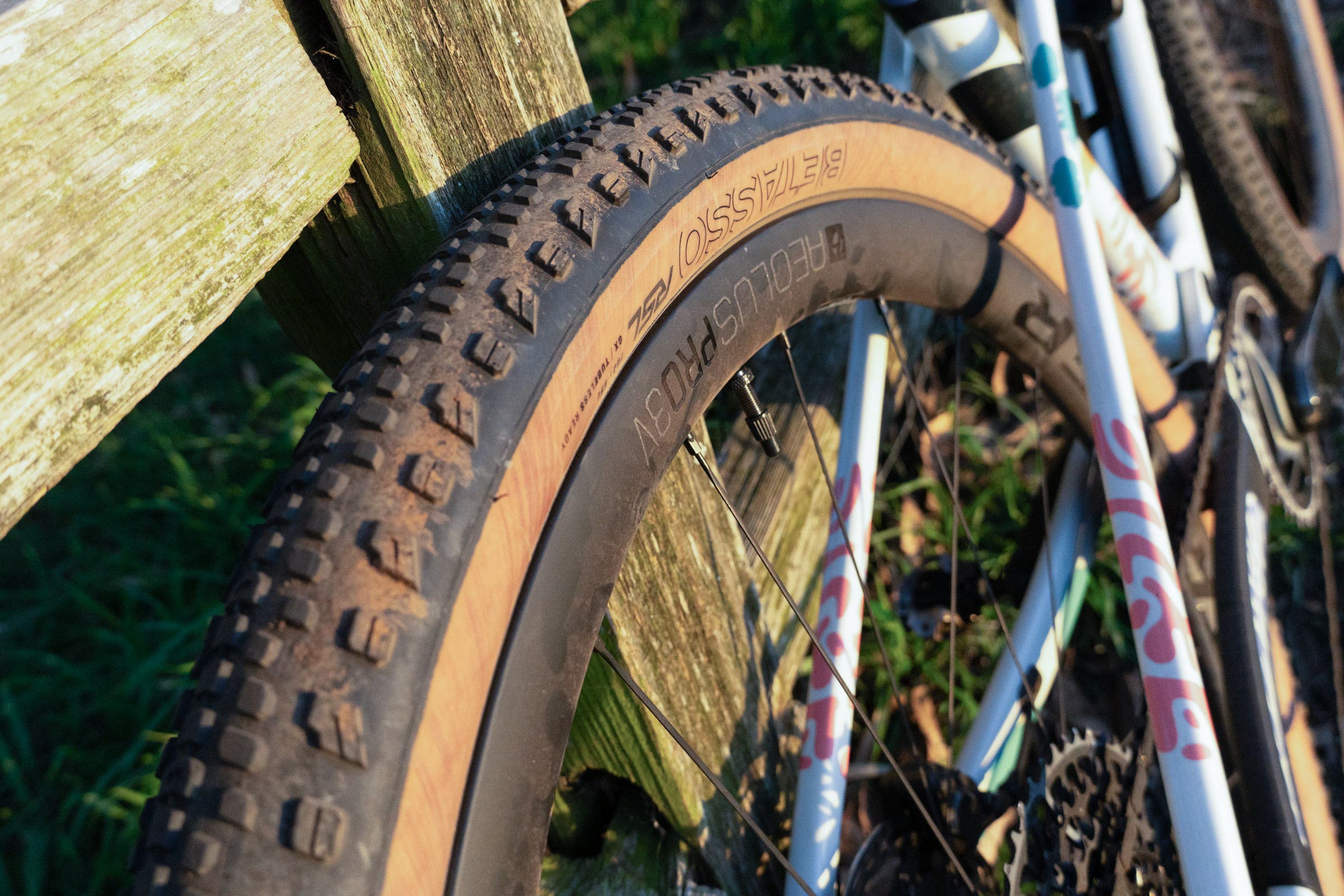 Trek CheckOUT