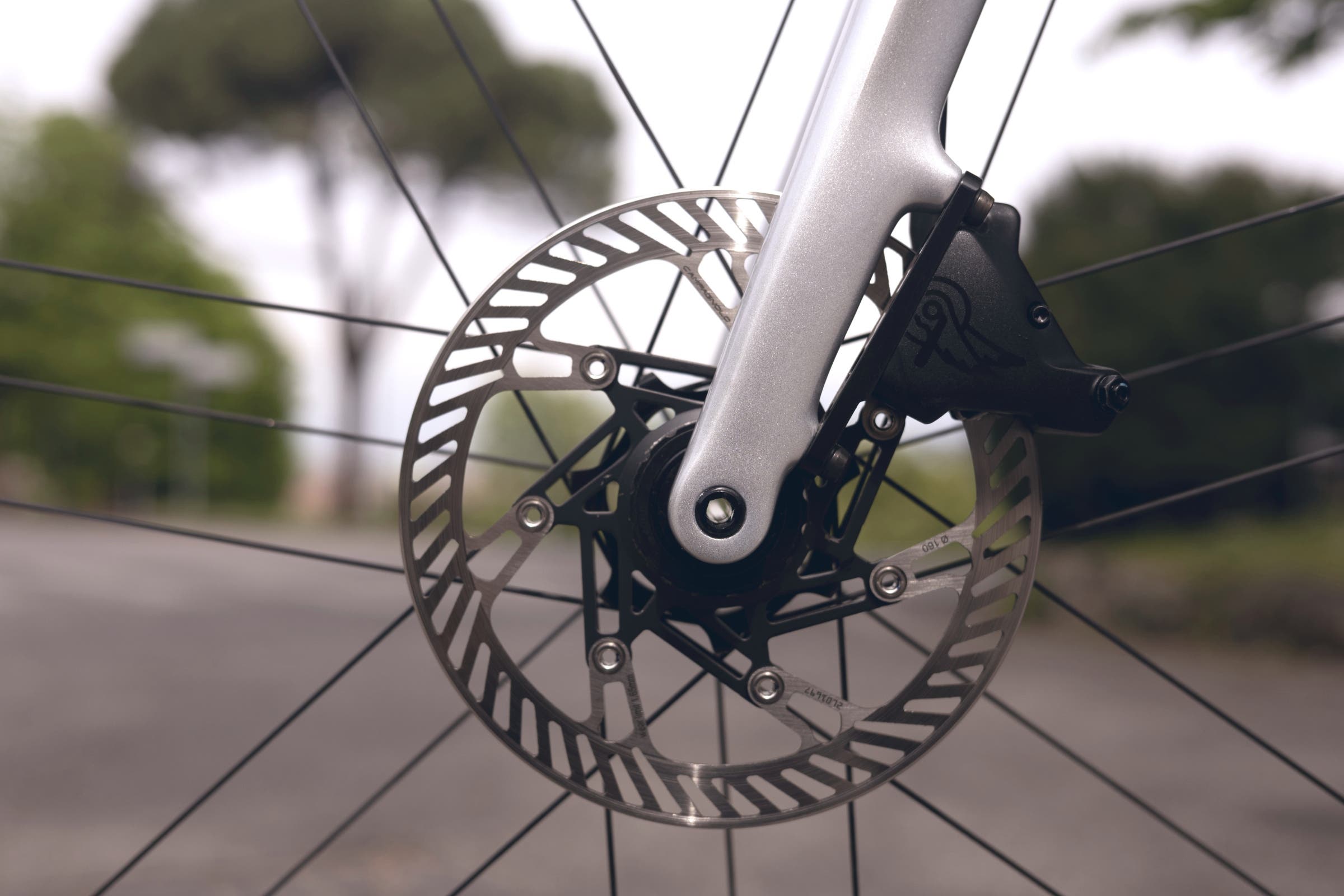 Campagnolo Record 13 disc details