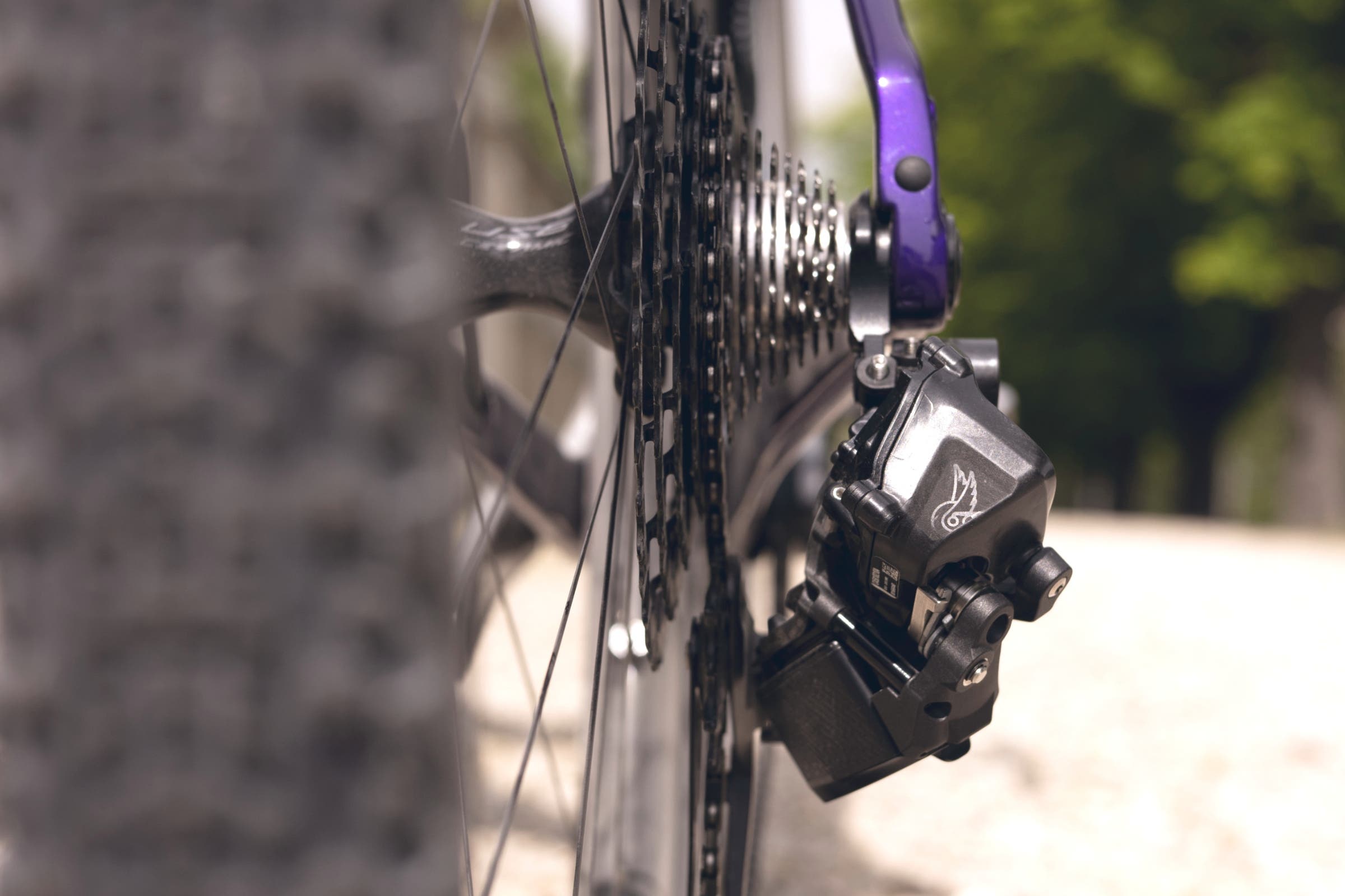 Campagnolo Record rear mech