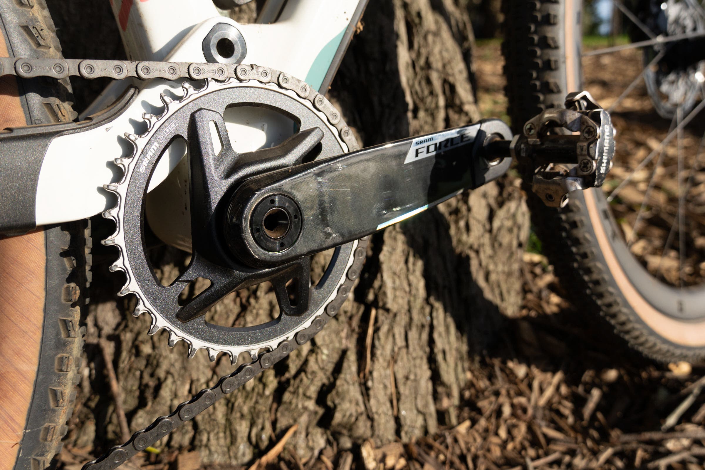 Trek CheckOUT