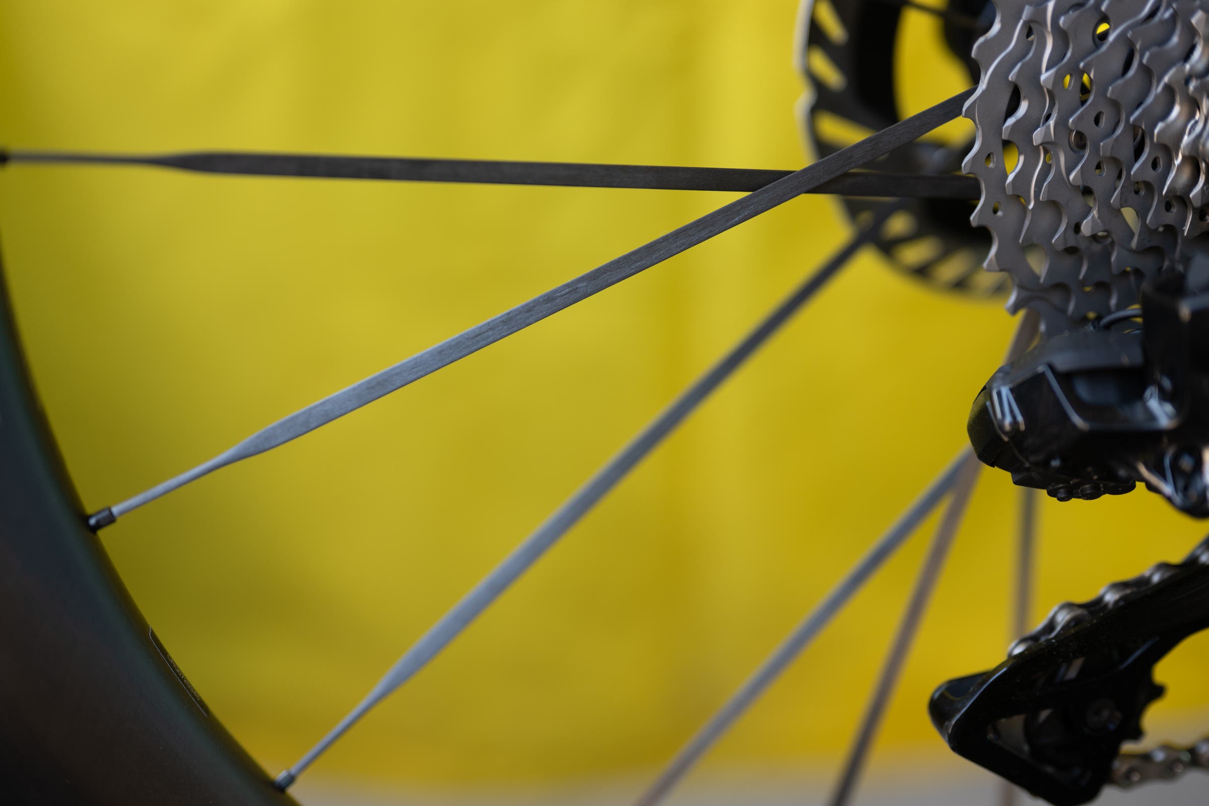 Mavic Comete 50 Spotted at Sea Otter