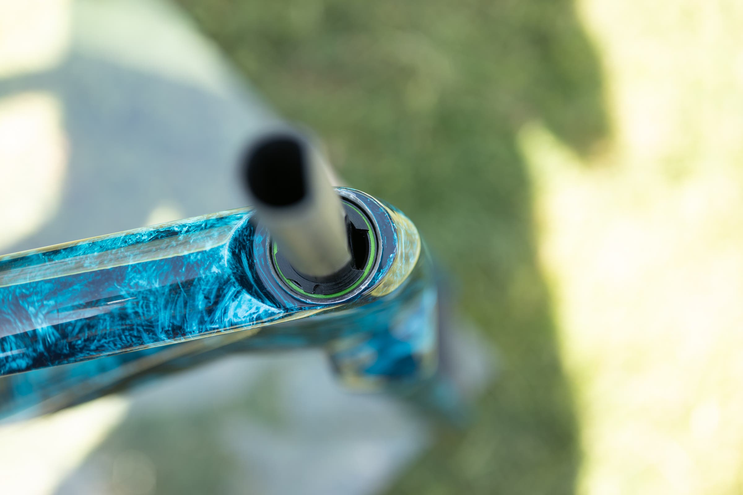 unnamed Tavelo at Sea Otter