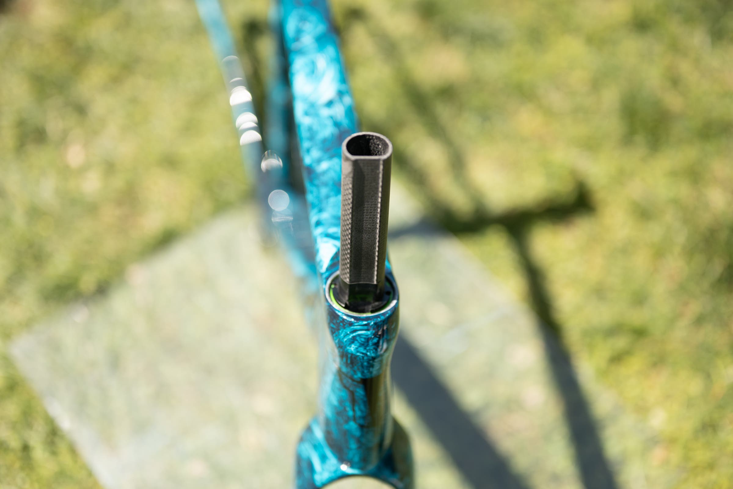 unnamed Tavelo at Sea Otter