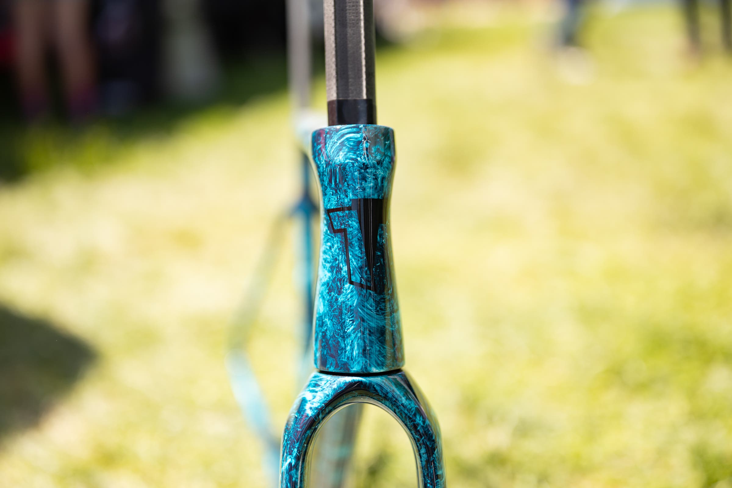 unnamed Tavelo at Sea Otter