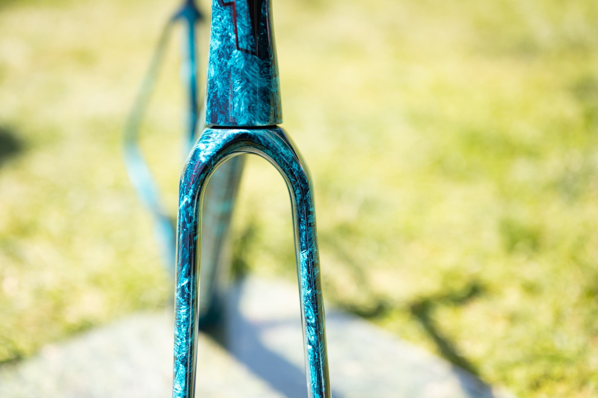 unnamed Tavelo at Sea Otter