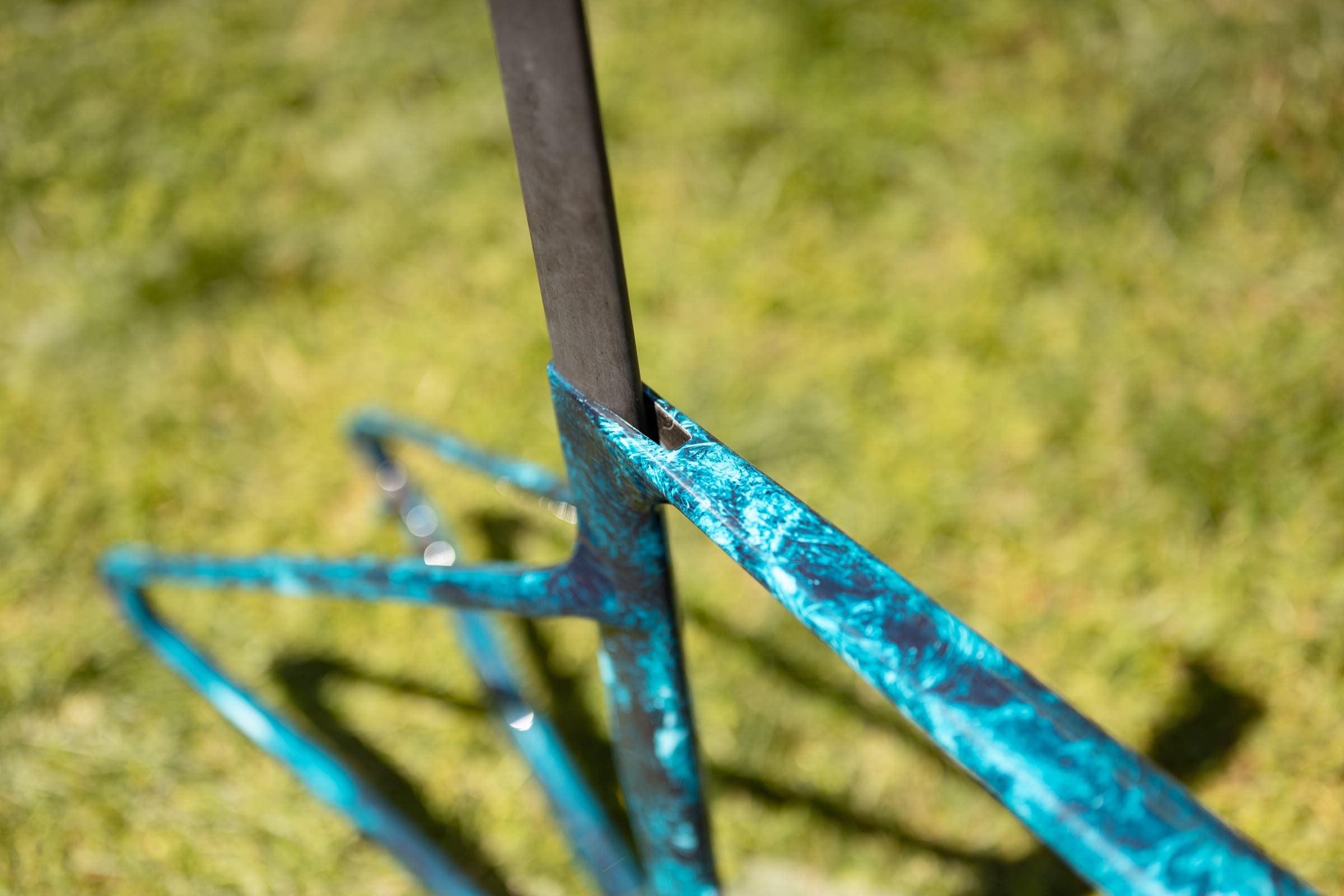 unnamed Tavelo at Sea Otter