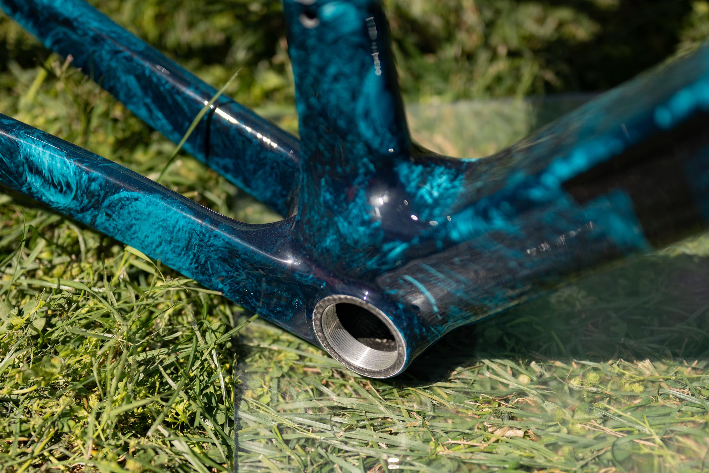 unnamed Tavelo at Sea Otter