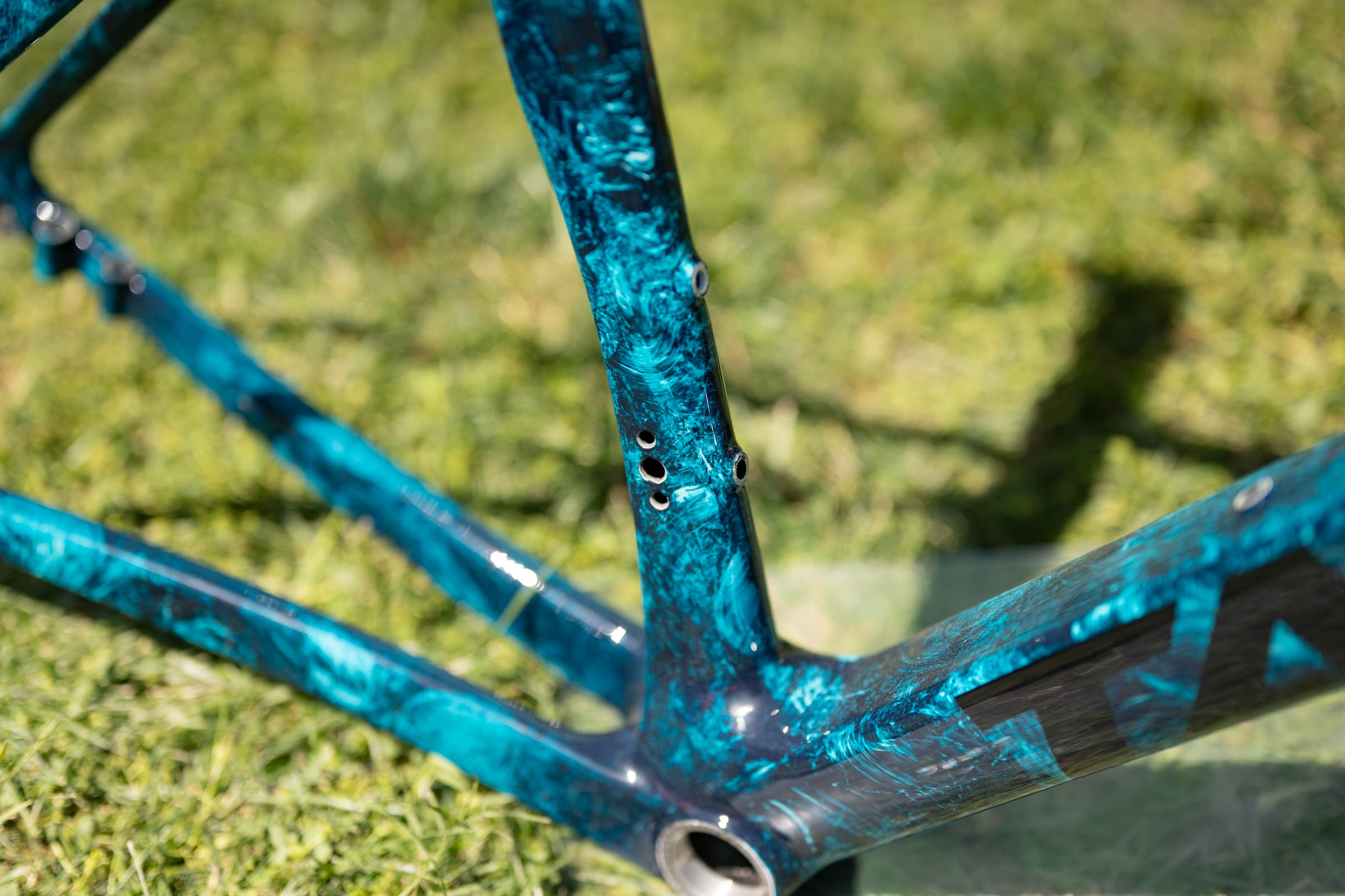 unnamed Tavelo at Sea Otter