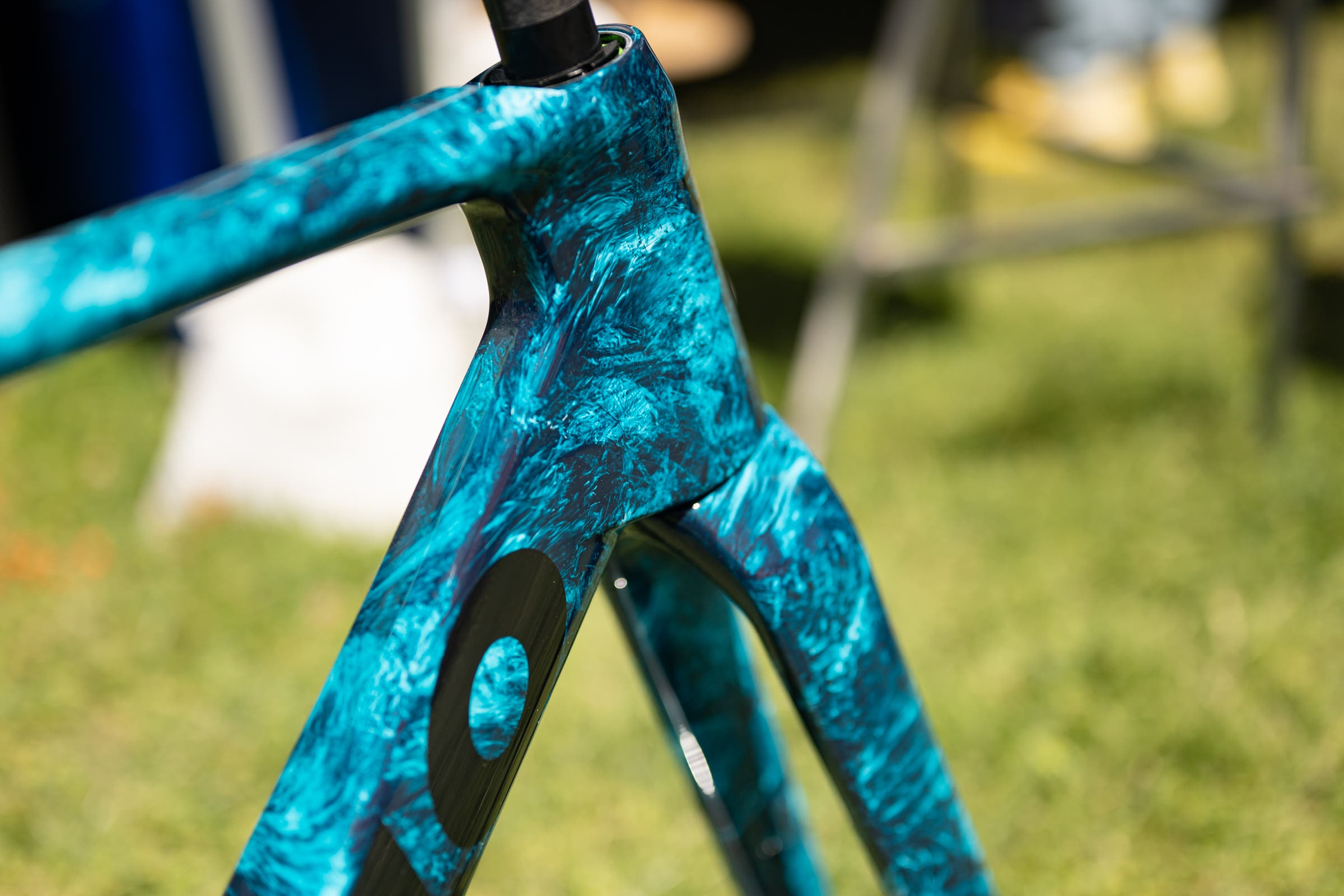 unnamed Tavelo at Sea Otter