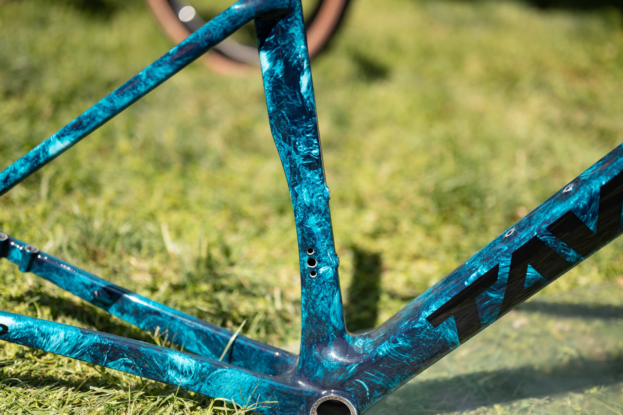 unnamed Tavelo at Sea Otter