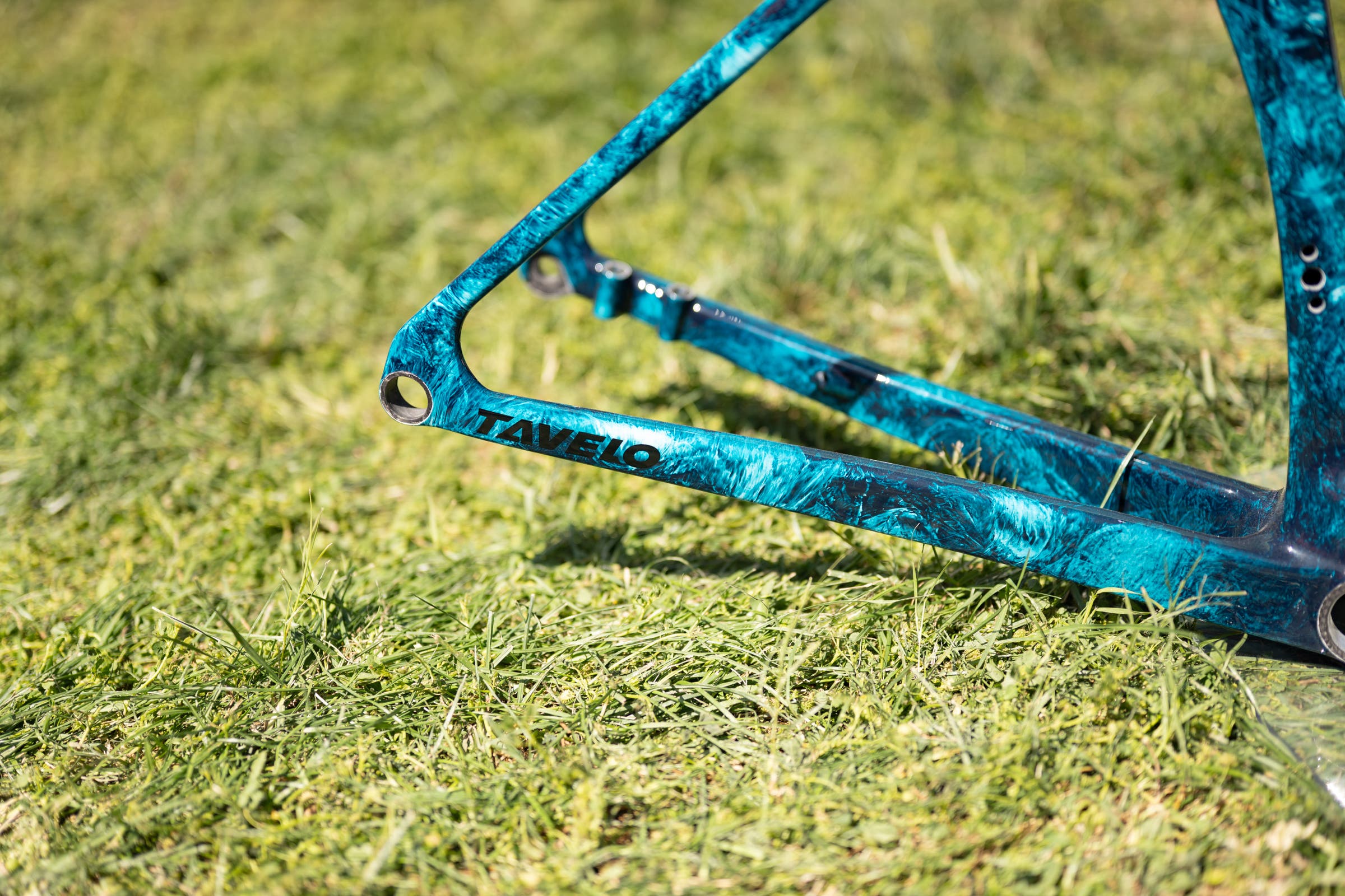 unnamed Tavelo at Sea Otter