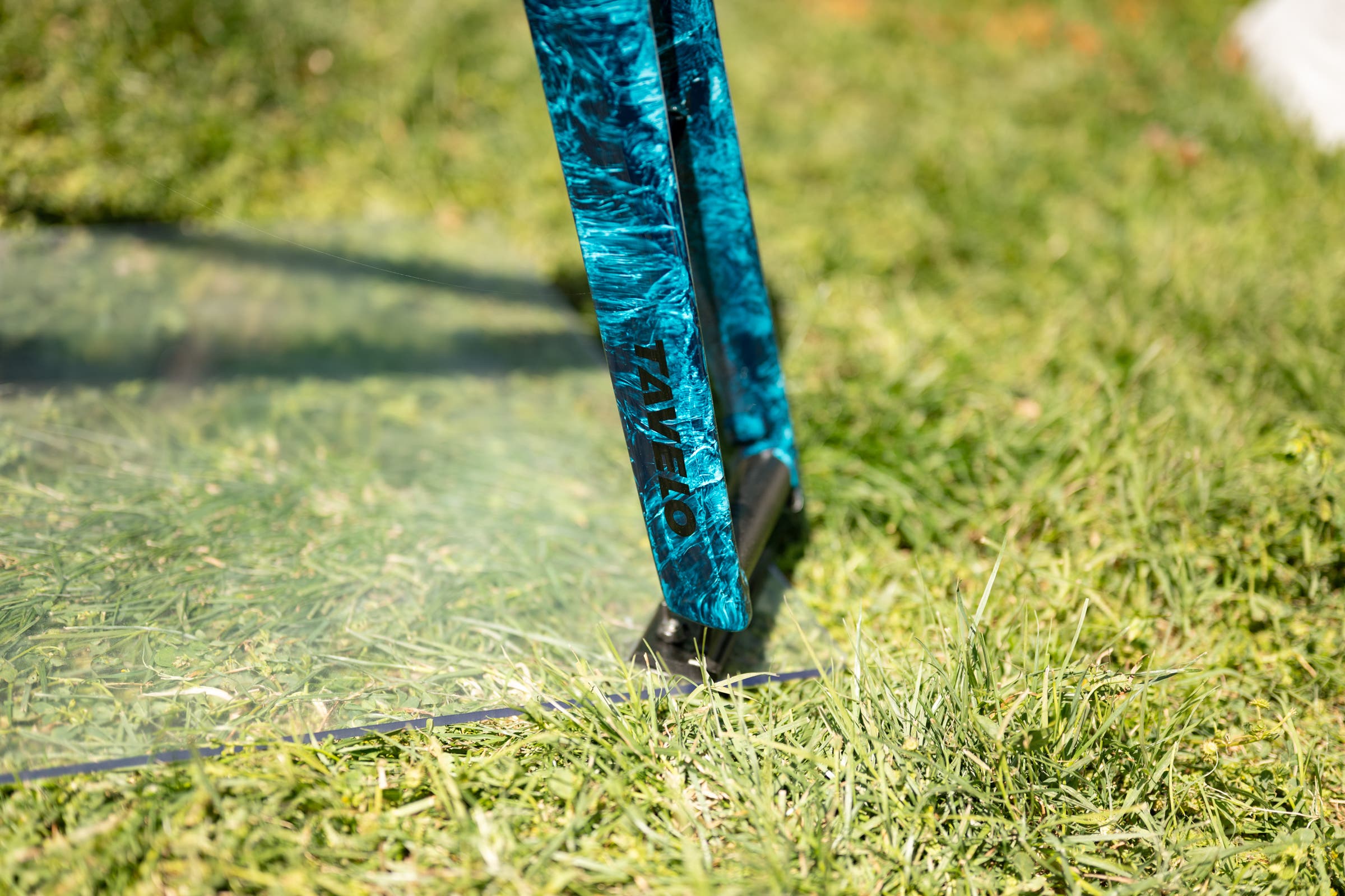 unnamed Tavelo at Sea Otter