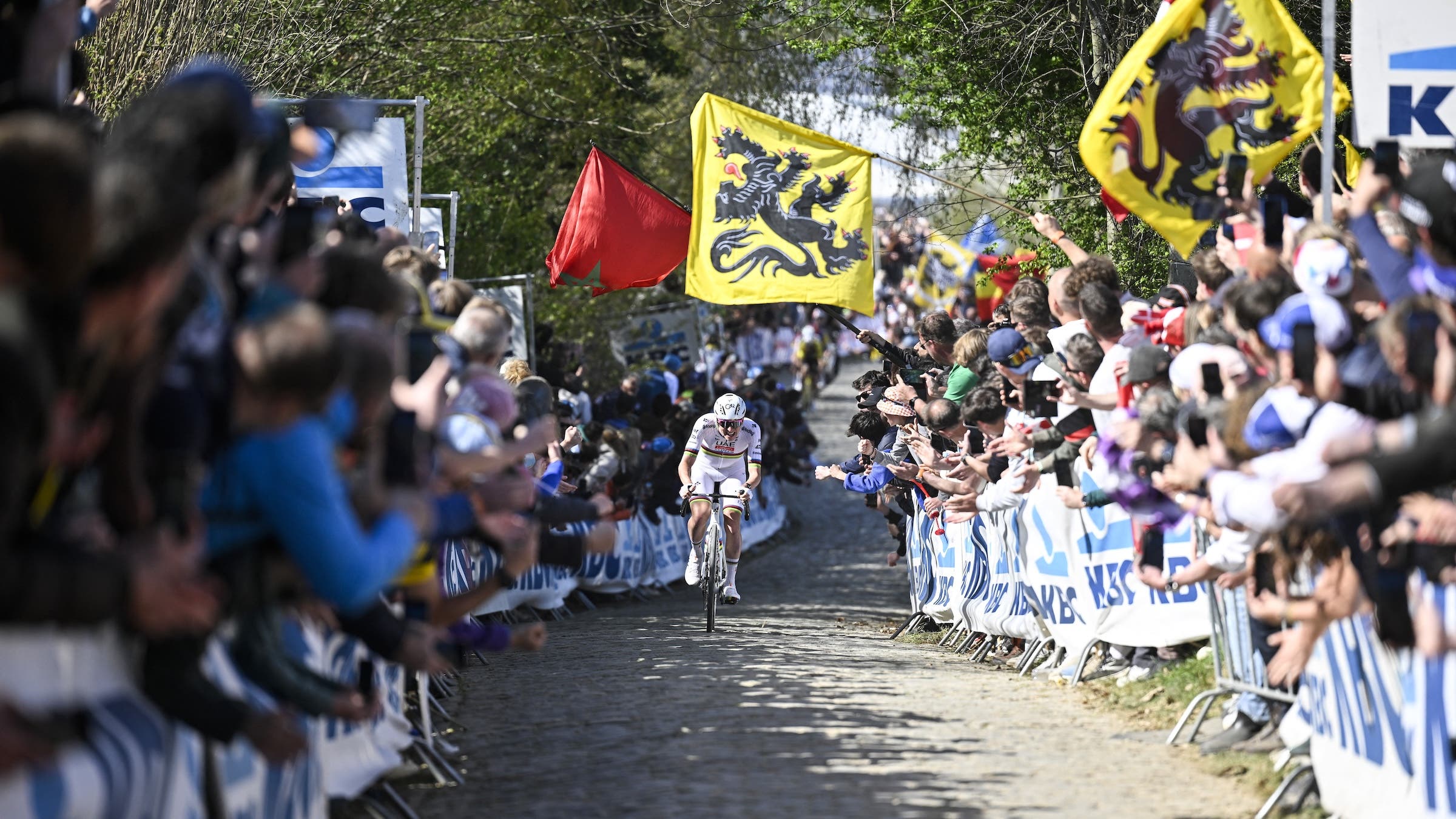 Tadej Pogačar puts in his winning move in the 2025 Tour of Flanders. Will the same effort result in a win this time around? (Photo: Jan De Meuleneir / Belga / AFP)