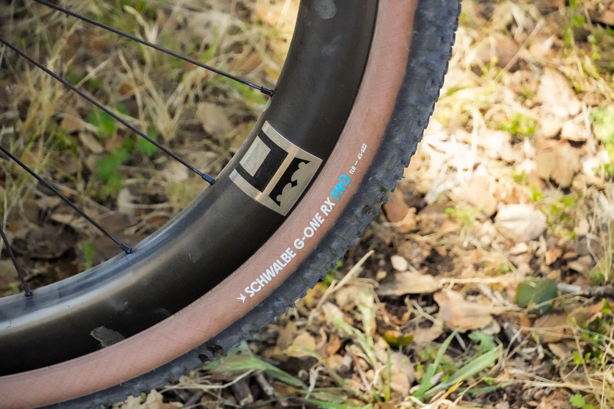 Kate Courtney Wheels Sea Otter 2026