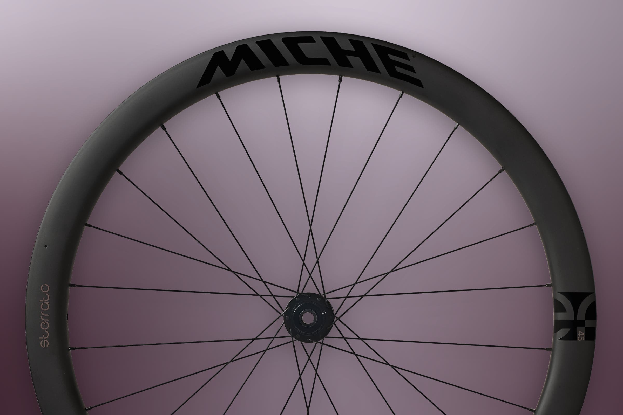 Miche STERRATO Header