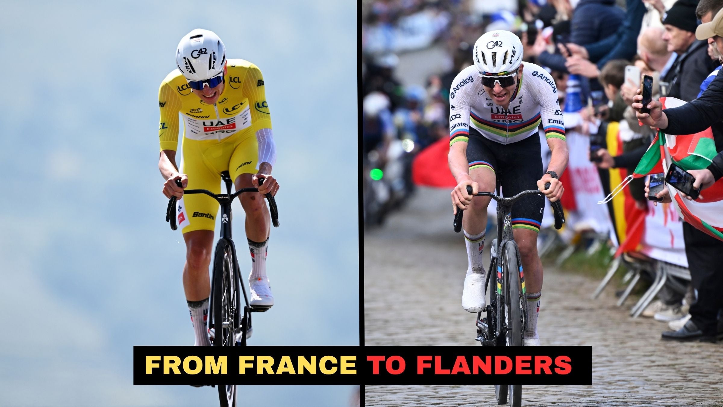 Pogačar's Seasonal Body Transformation: The Science Behind Bulking for Cobbles and Cutting for Climbs