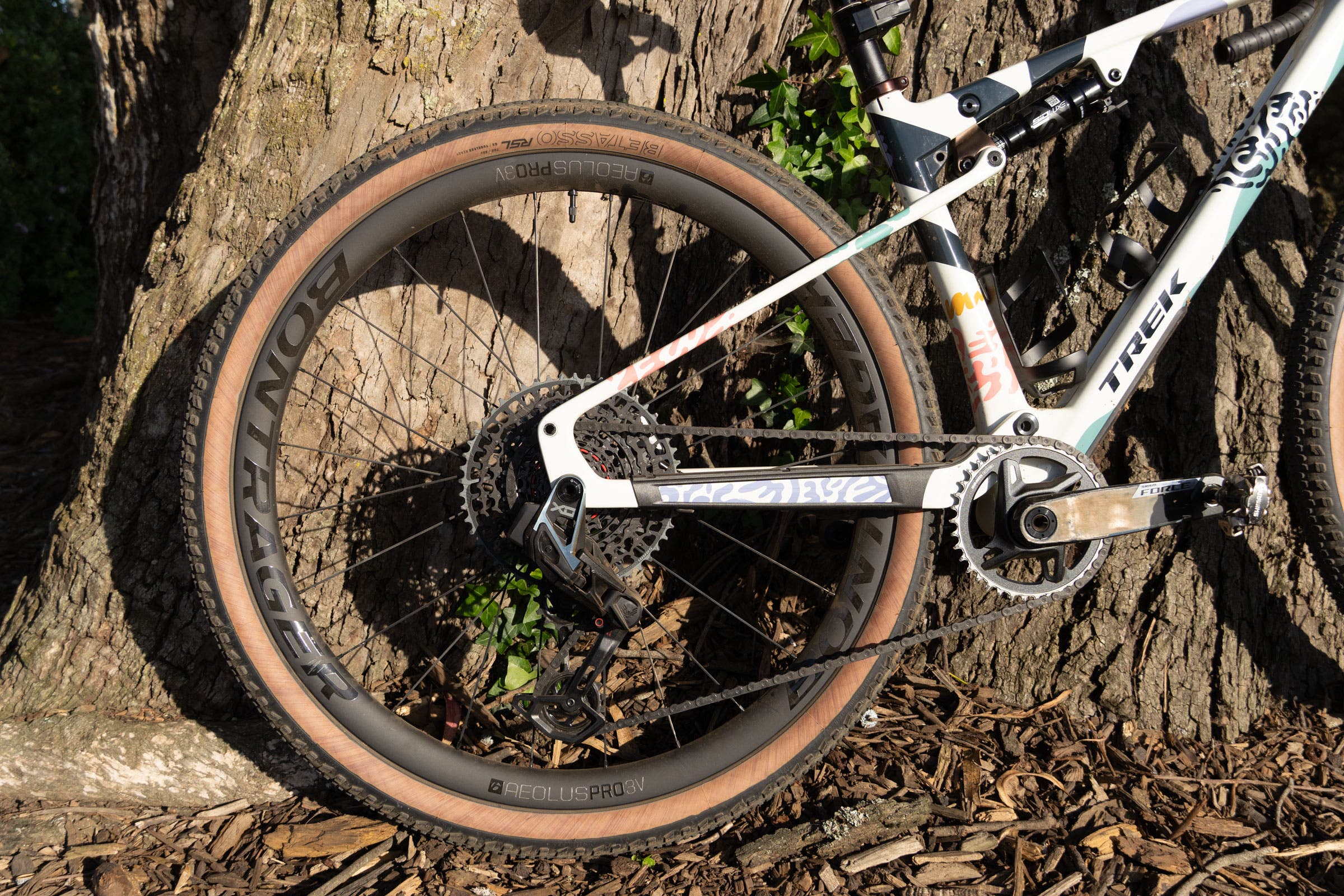 Trek CheckOUT
