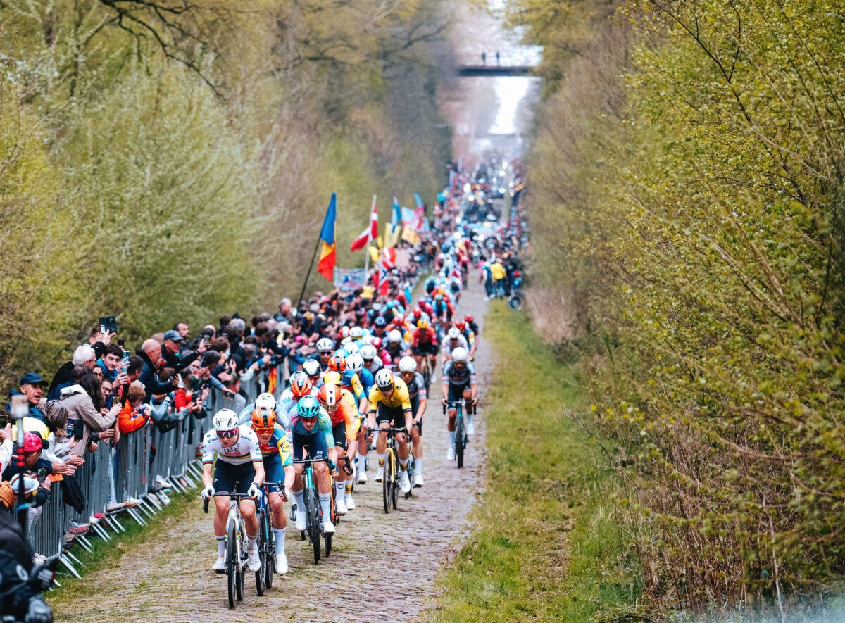 The ancient stones of Paris-Roubaix show no mercy – rainbow jersey or not.