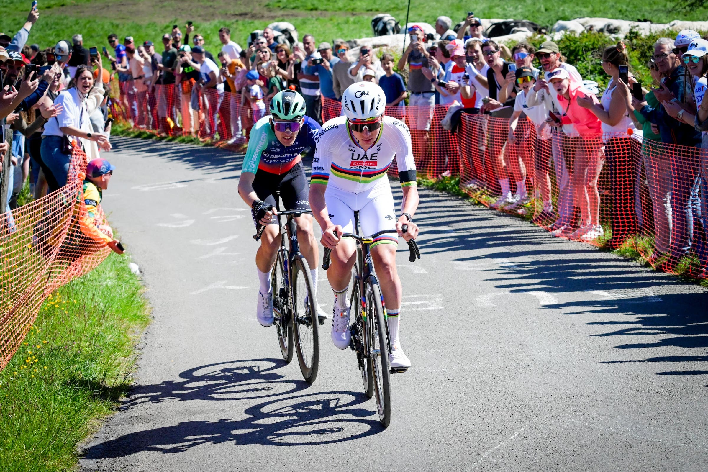 Following a Tadej Pogačar attack is a very, very difficult thing to do but Paul Seixas was able on La Redoute (Photo: Pool Bernard Papon / Belga Mag via AFP)