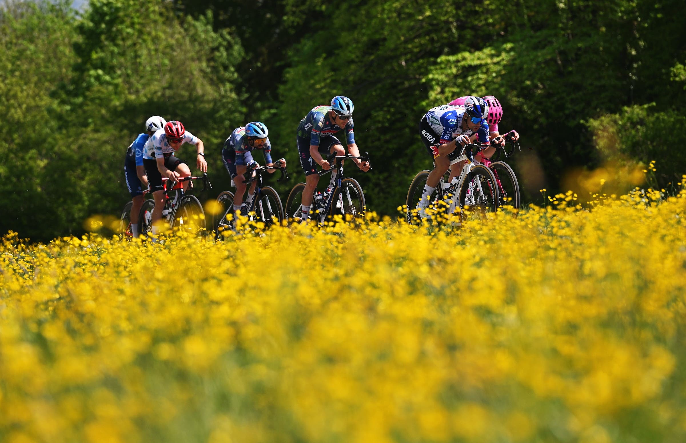 Primož Rogič, Valentin Paret-Peintre e Michael Leonard sono stati tra i più forti nella pausa di giornata al Tour de Romandie (Foto: Dario Belingheri/Getty Images)
