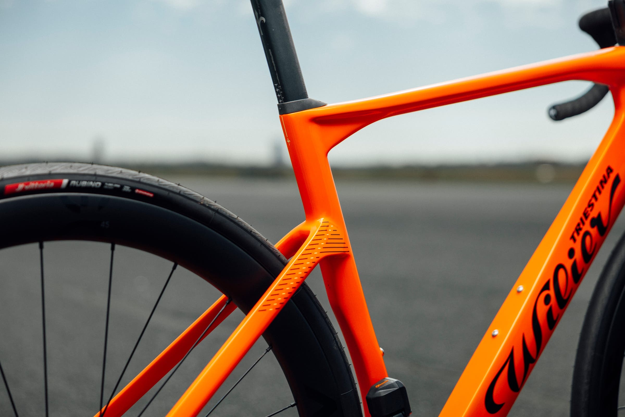 Wilier Rapida rear end