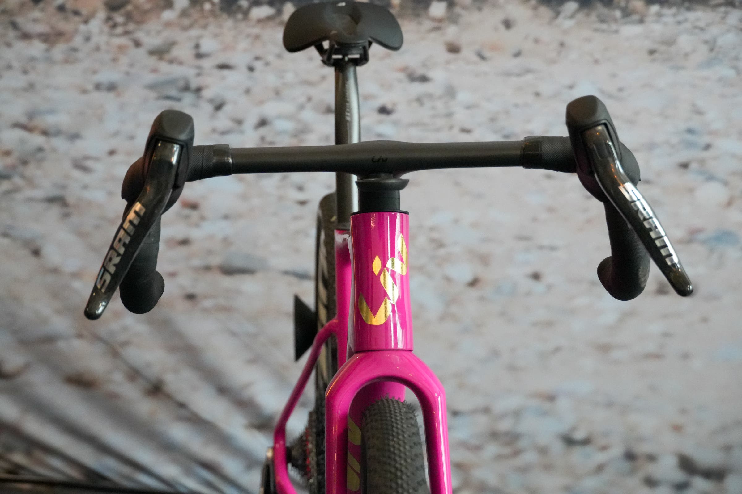 Giant Prototype details-5