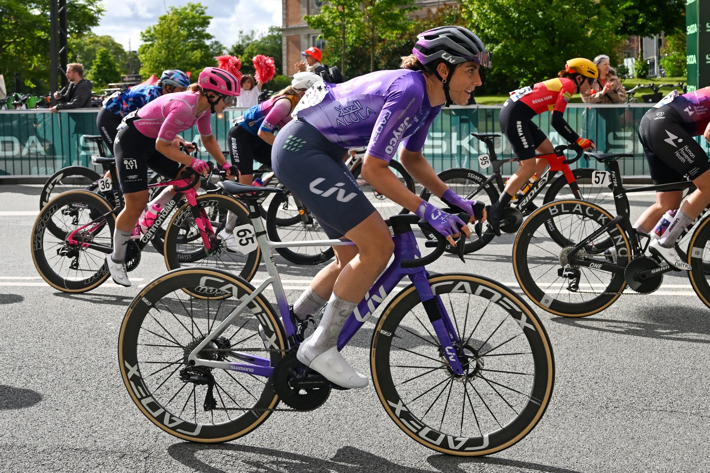 Liv Femmes Bikes