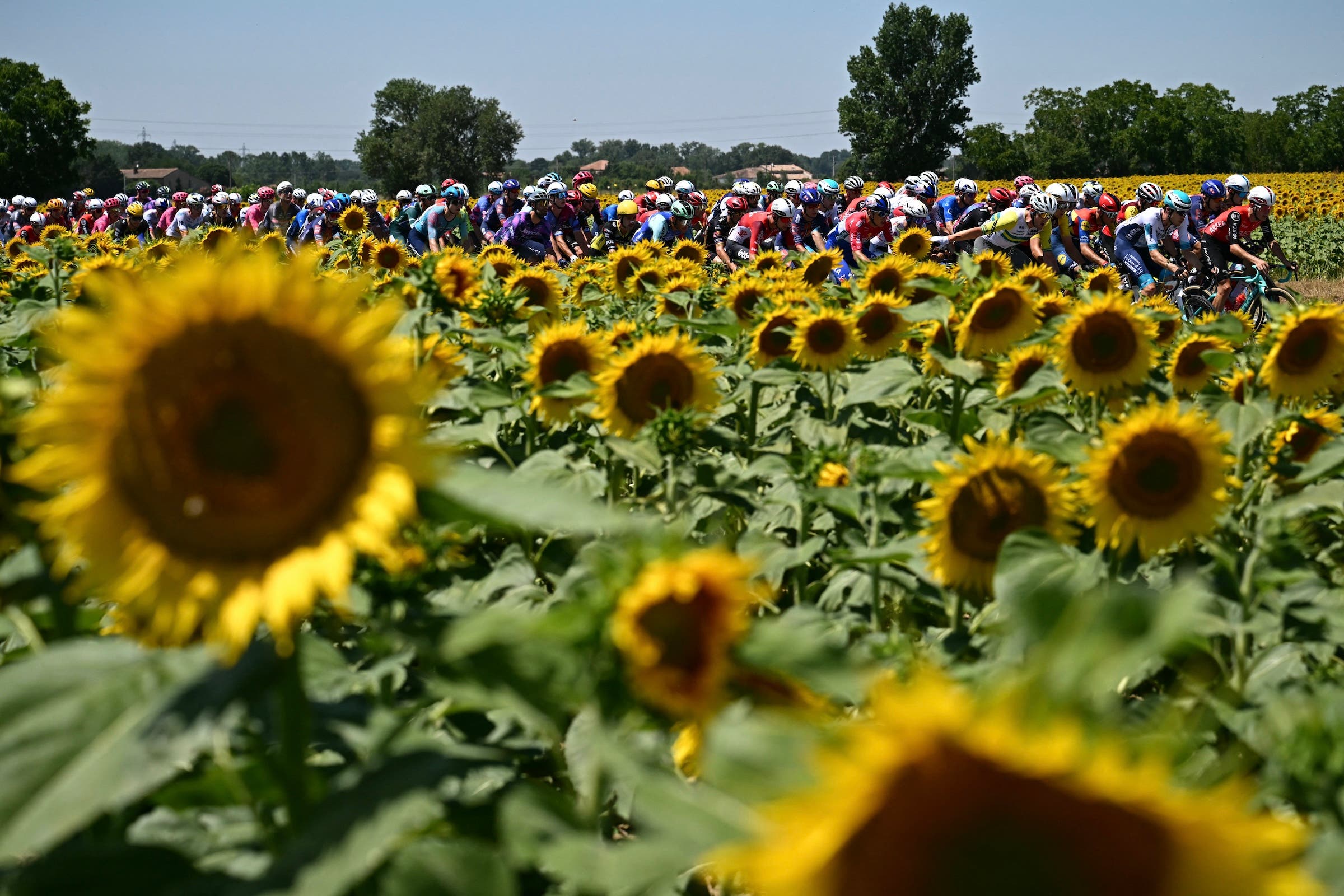 Tour de France heat - Image from source article