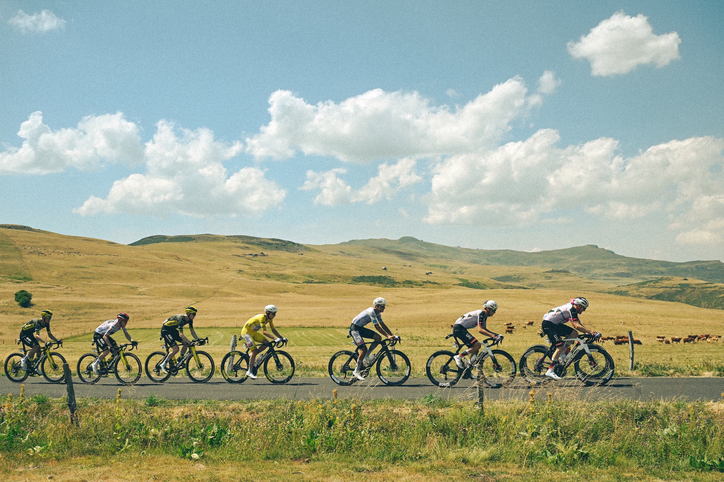The 2026 Tour has reached stage 11, just past the halfway point (Photo: Dario Belingheri/Getty Images)