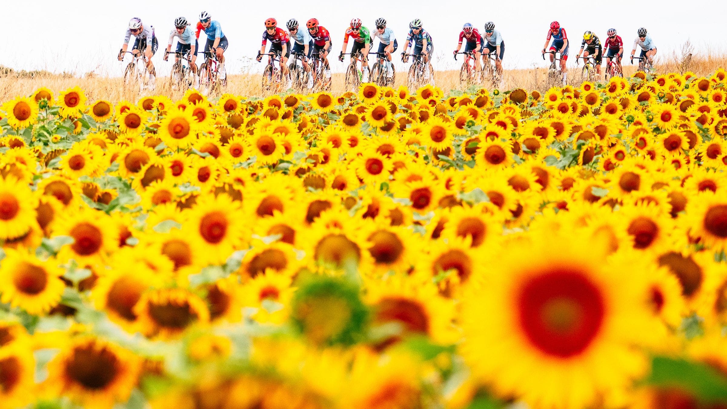 Reader Poll: What Are Your Tour de France Femmes Predictions?