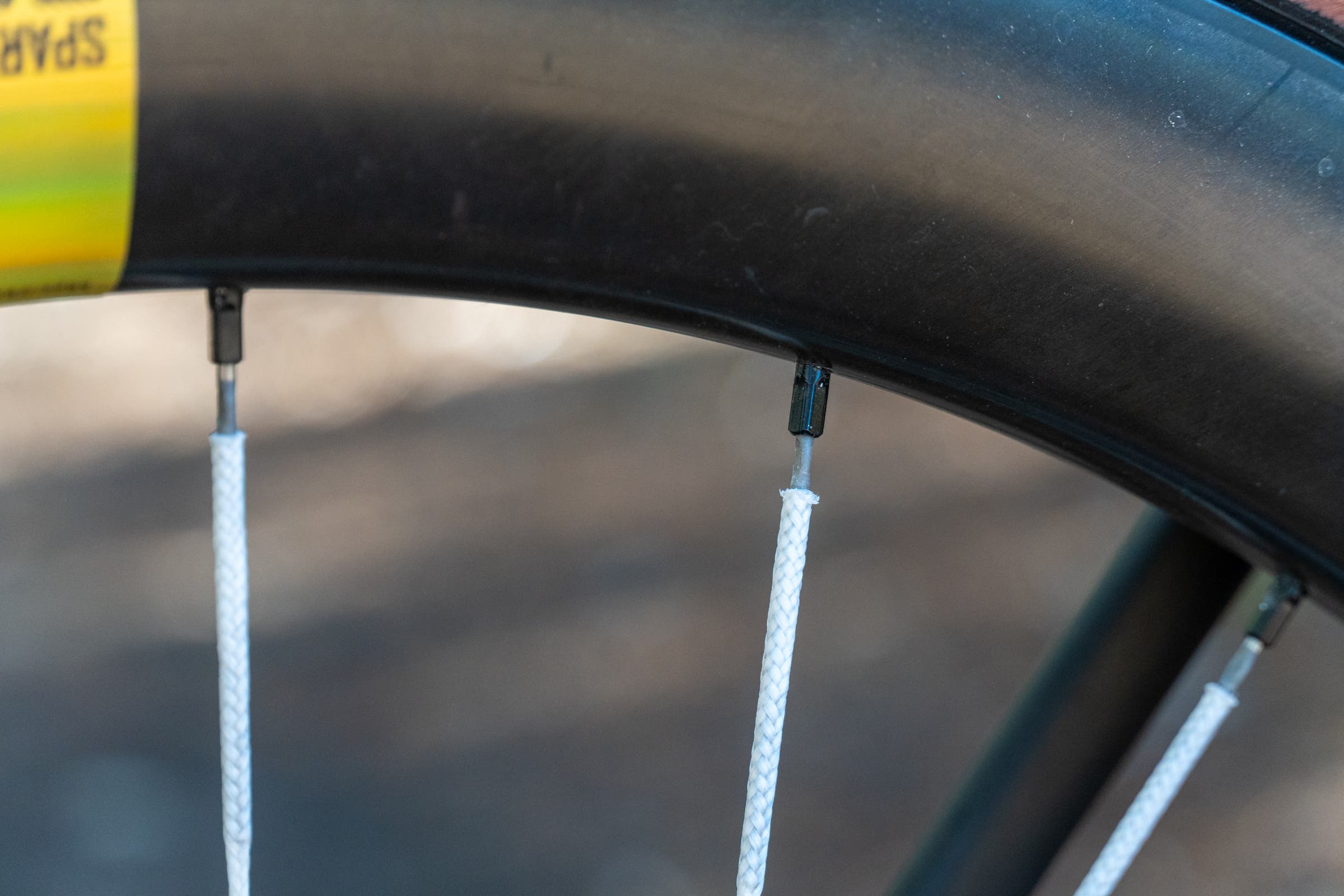 Berd Sparrow details spokes