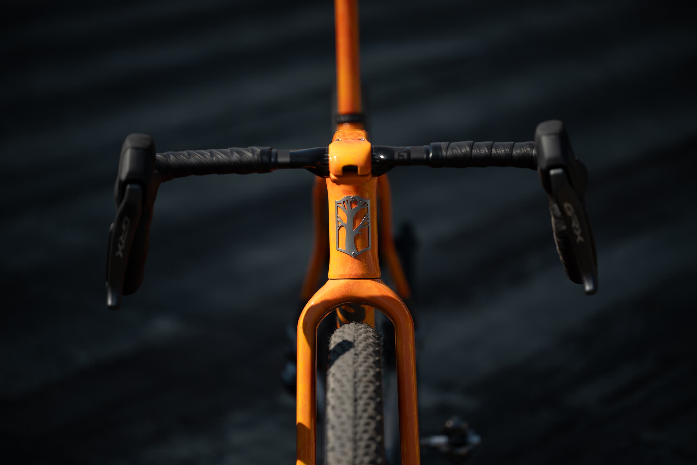 Mosaic Cycles GT1 i55 at the MADE show