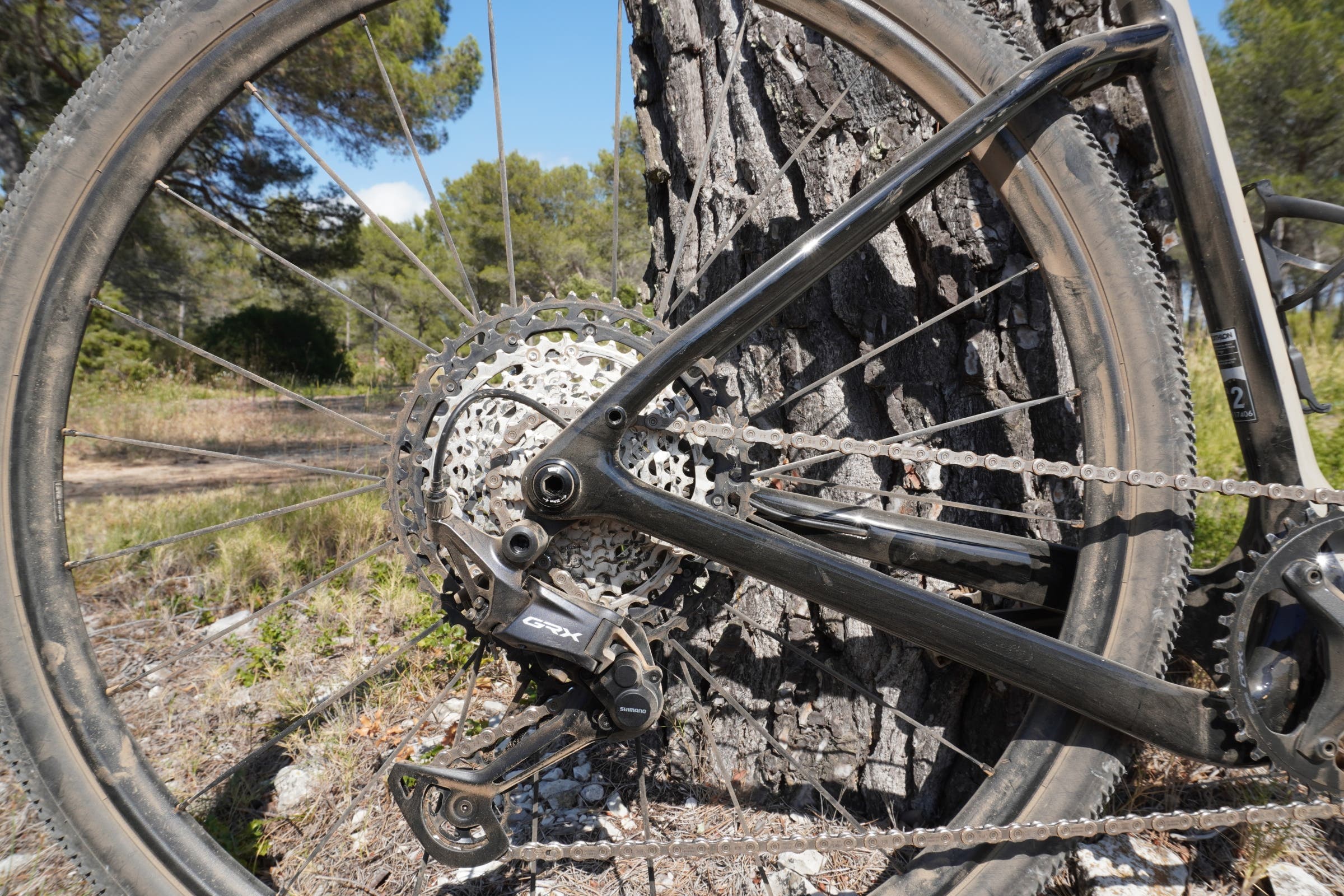 Van Rysel EDR-G Rear wheel triangle cassette