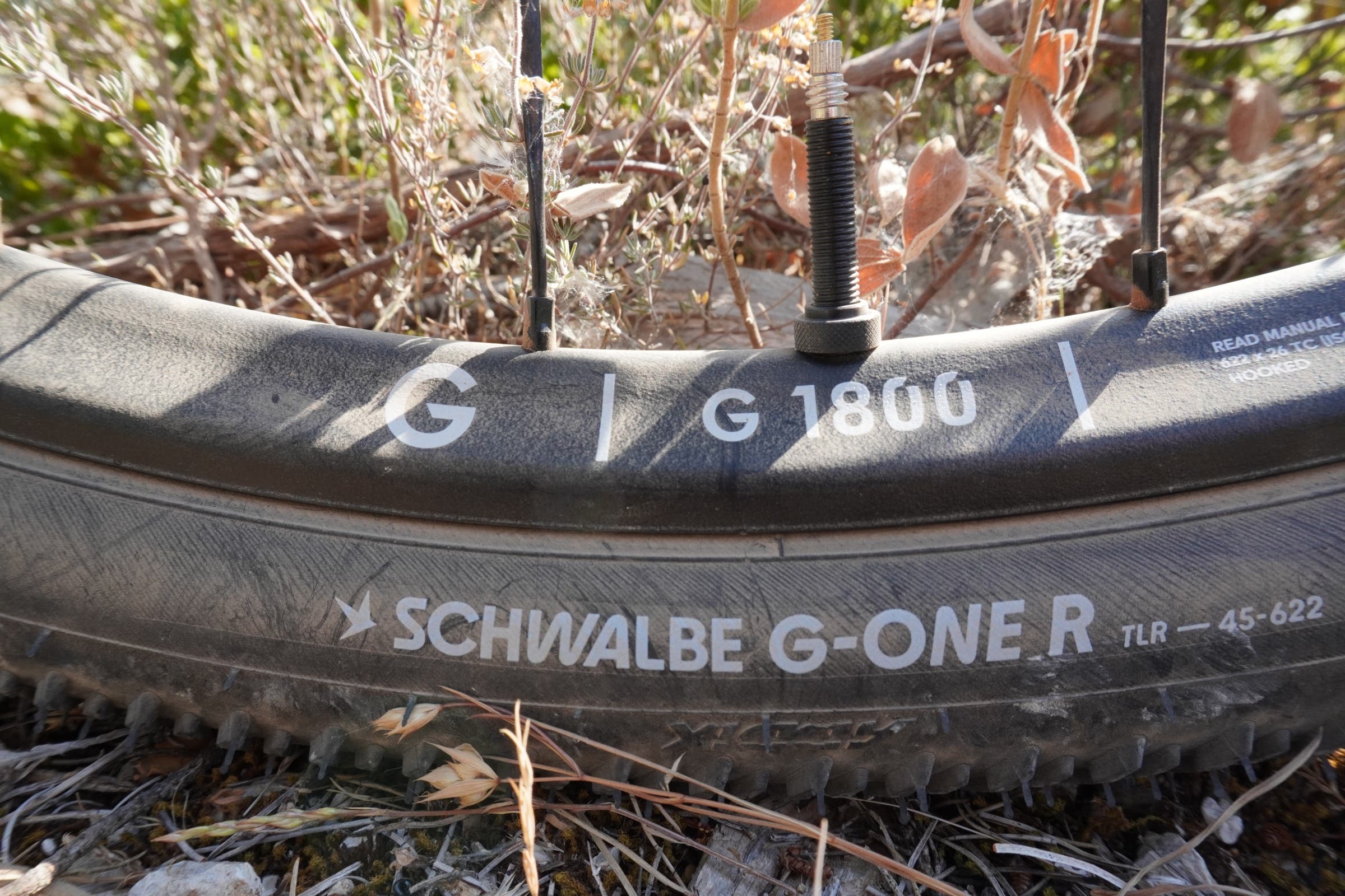 Van Rysel EDR-G tire and rim schwalbe