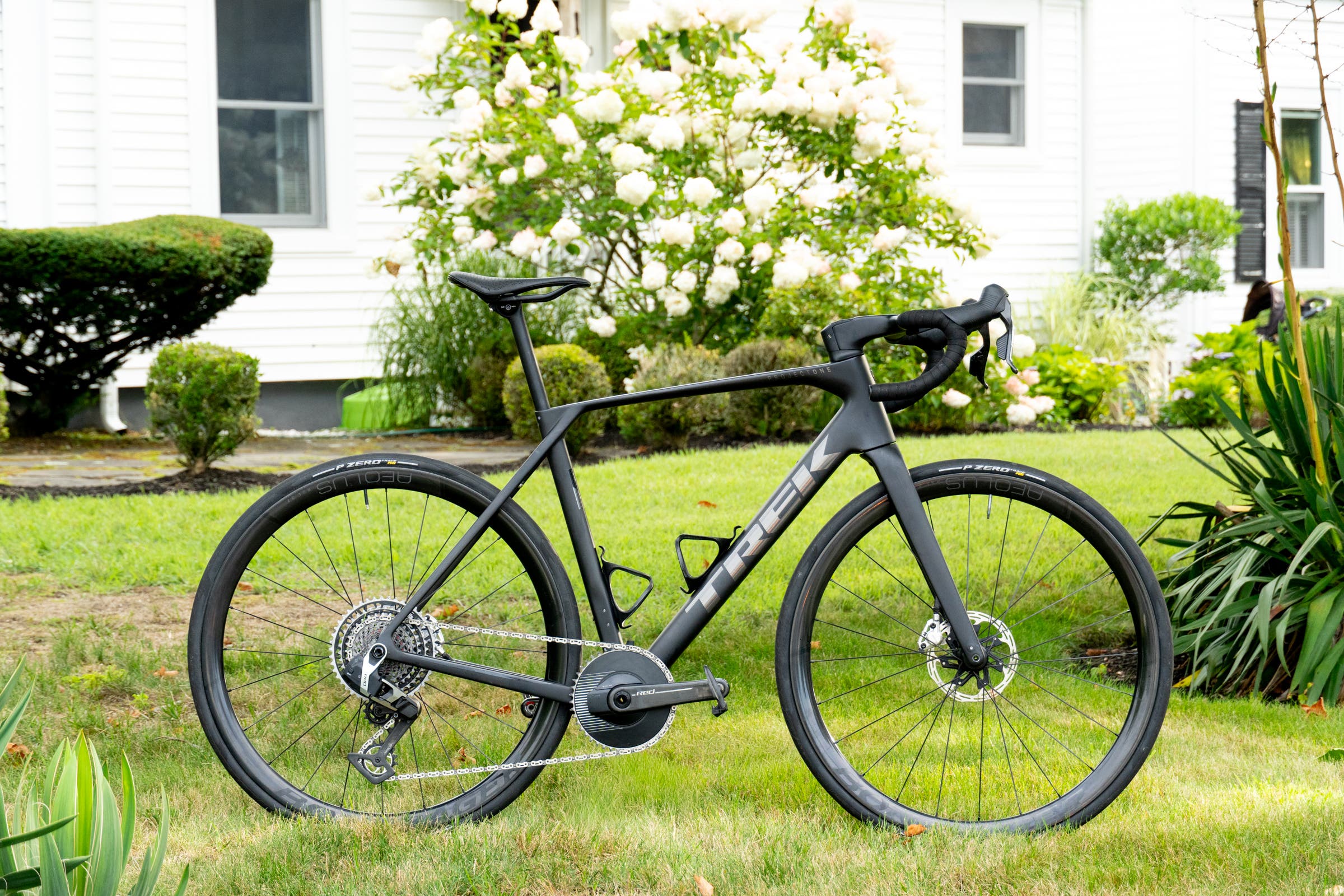 trek domane main header