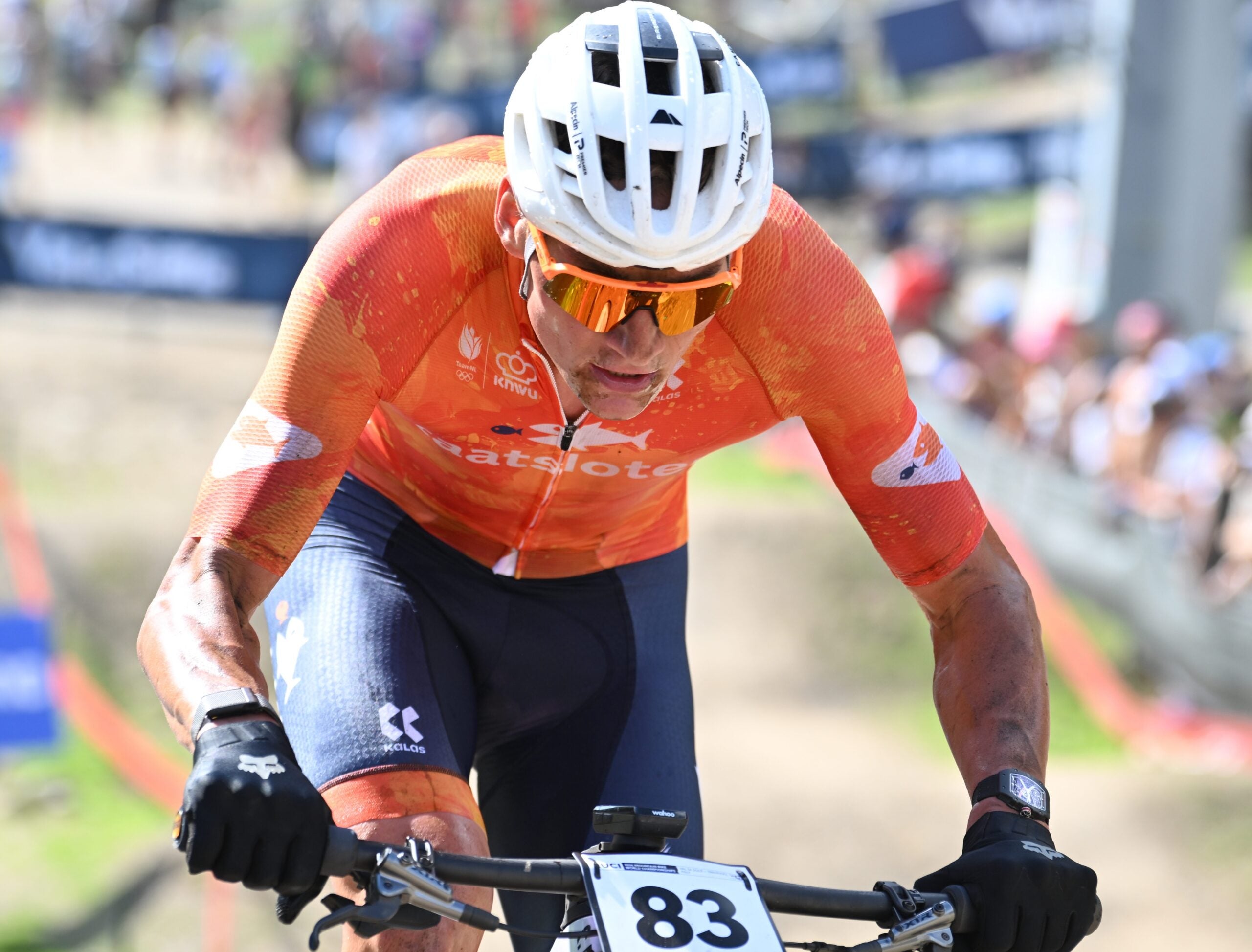 Van der Poel
