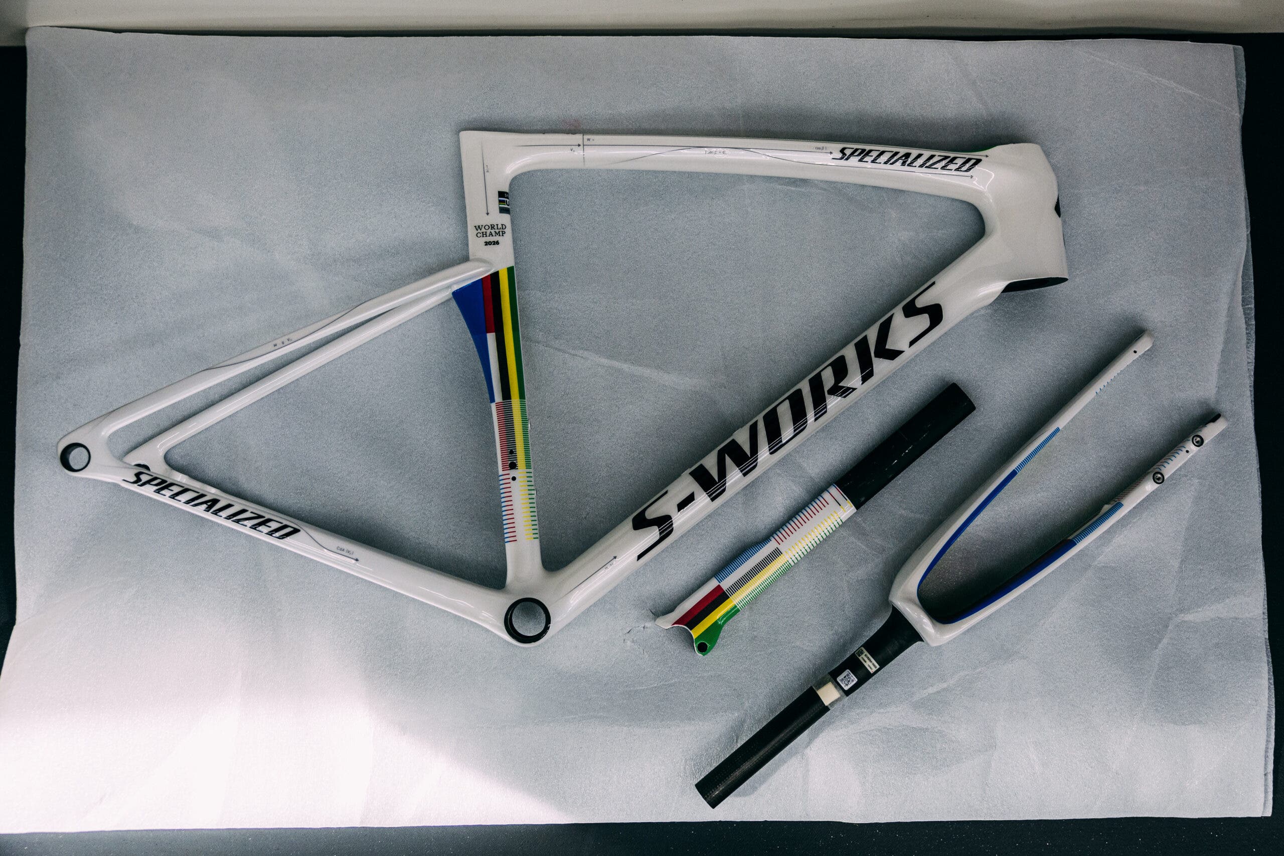 Speialized Tarmac SL9 of 2026 Road World Champion Demi Vollering