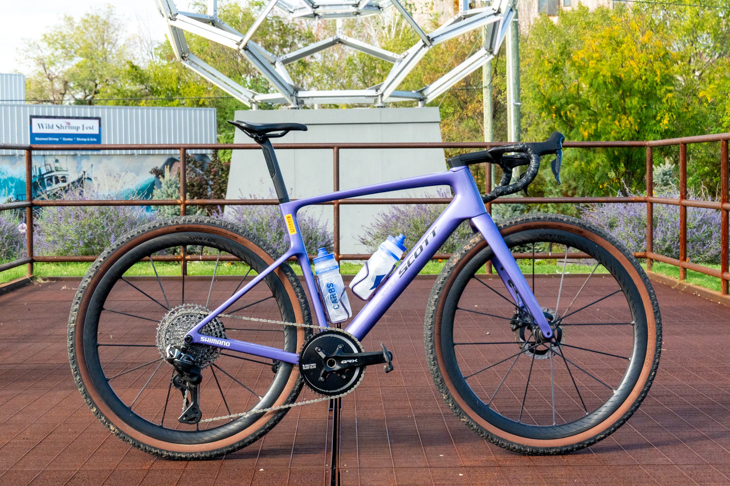 Big Sugar Bike Check-3