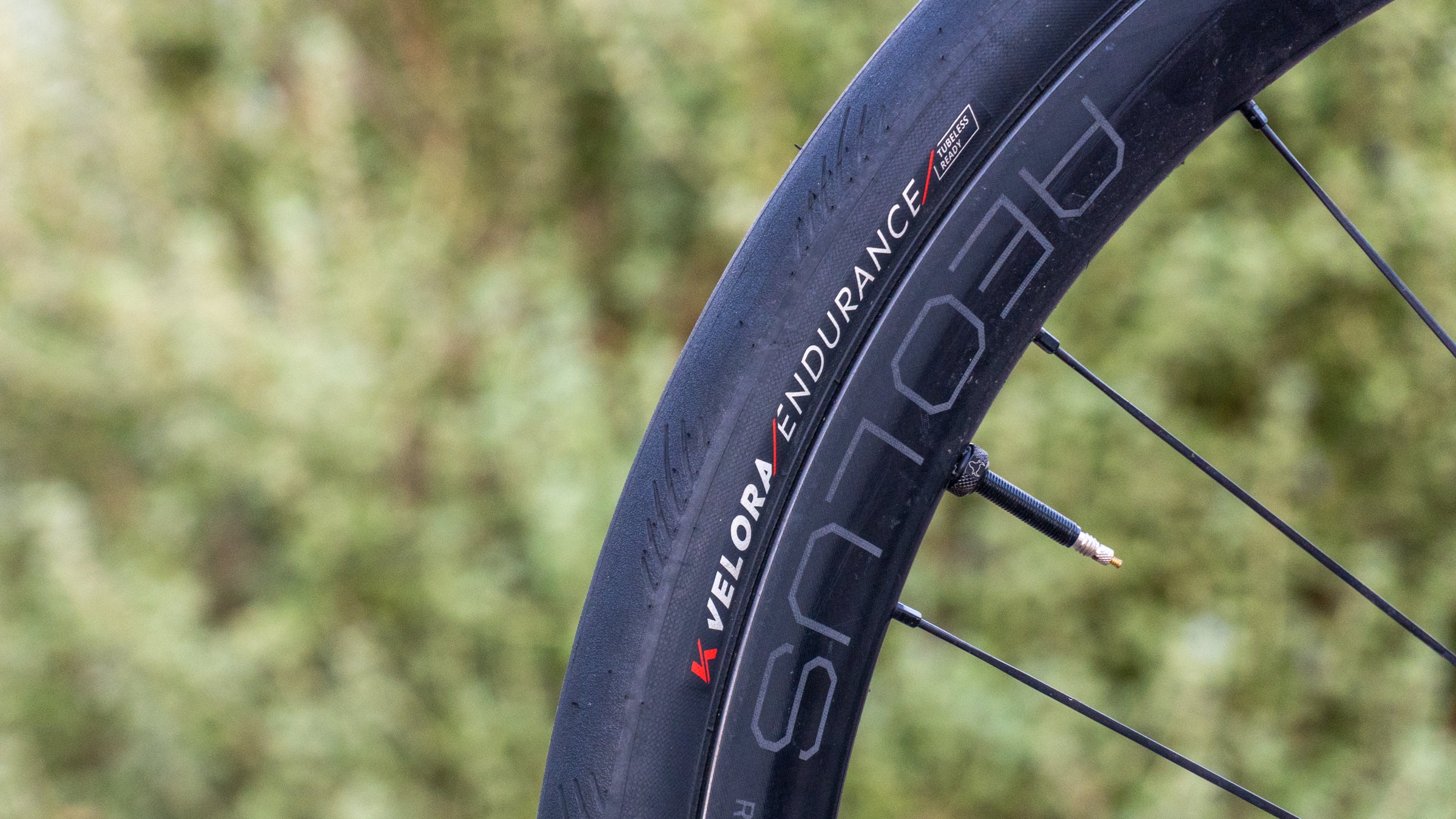 Kenda Velora Tires Cover Photo