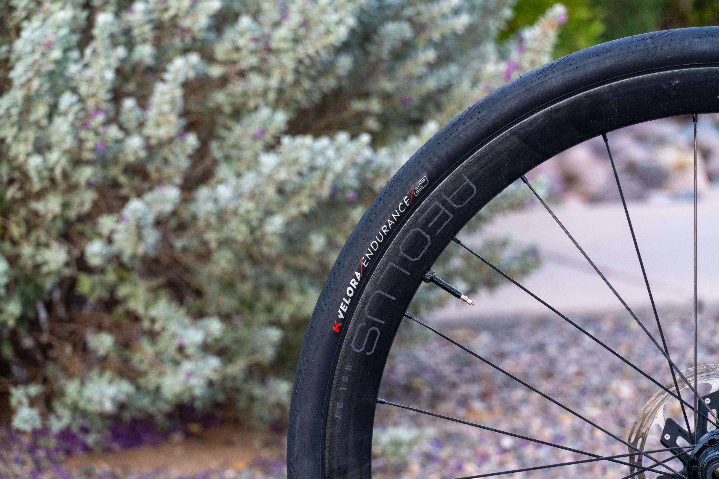 Kenda Velora Tires-5